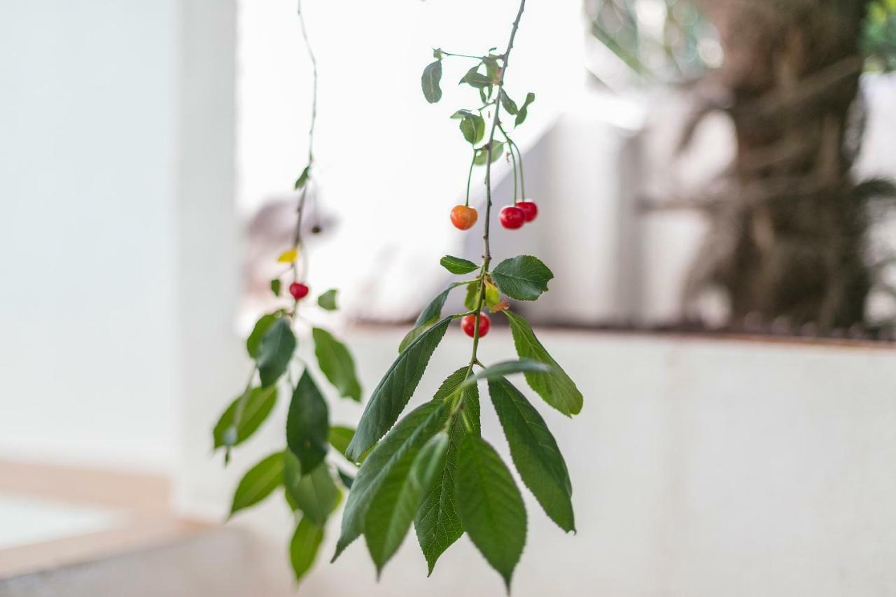 Fragrant Garden Apartment Lisbon Exterior photo